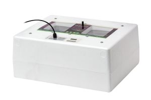 Incubateur Digital